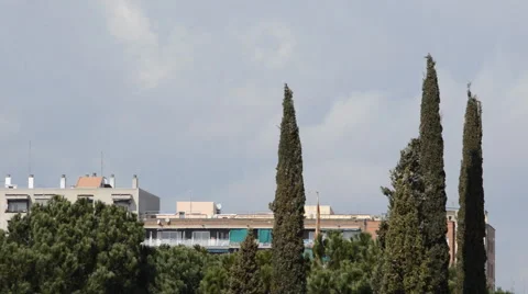 Middle Class Residential Area Vídeo Stock 48056617