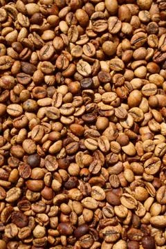 Middle coffee beans Stock Photos