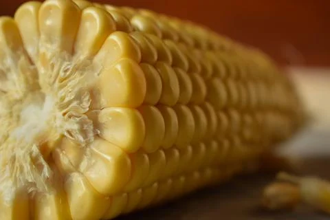 The middle of a corn cob in macro. raw vegetable fruits Stock Photos