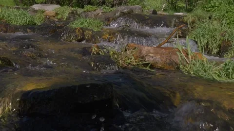 Middle of the creek low angle  Video stock 246873861