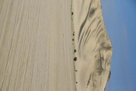 In the middle of the desert Foto stock