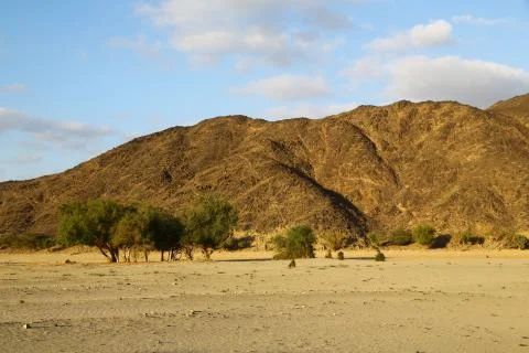 In the middle of the desert Foto stock