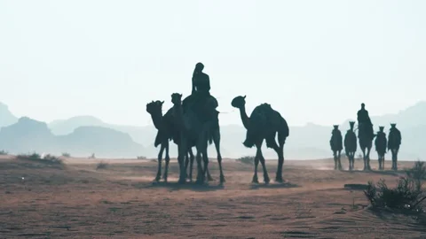 Middle Eastern Camel in Wadi Rum desert Jordan Video stock 114293154