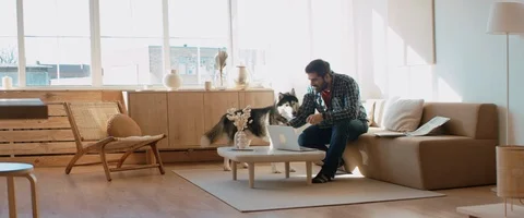 Middle Eastern male working from home, having a video call, dog sits near him Stock Footage 127352453