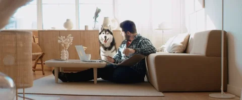 Middle Eastern male working from home, having a video call, dog sits near him Stock Footage 127377695