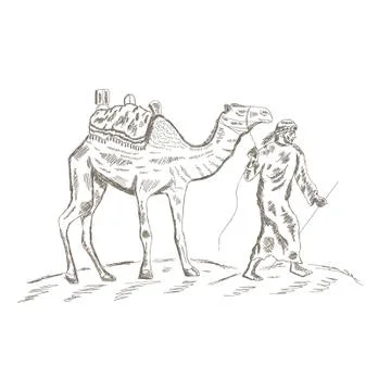 Middle Eastern Man Leading A Camel In The Desert Stock Illustration
