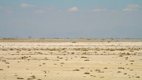 Middle Eastern mirage in the desert Stock Footage 100820533