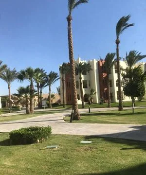 Middle Eastern Resort Complex Buildings Palm Trees Lawns Walkways Clear Blue Sky Stock Photos