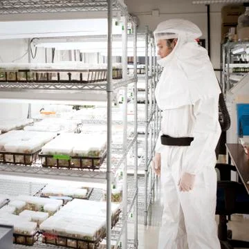 Middle Eastern scientist in clean suit in laboratory Foto stock