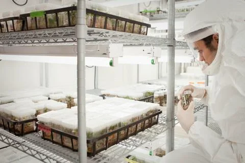 Middle Eastern scientist in clean suit in laboratory Foto stock