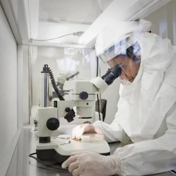 Middle Eastern scientist in clean suit using microscope Stock Photos