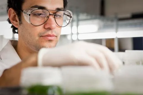 Middle Eastern scientist working in laboratory Foto stock