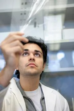 Middle Eastern scientist working in laboratory 스톡 사진