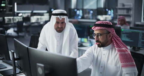 Middle Eastern Team of Software Developers Working in Office Stock Footage 243564388