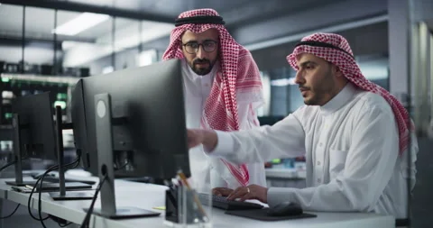Middle Eastern Team of Software Developers Working in Office Video stock 243564658