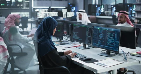 Middle Eastern Team of Software Developers Working in Office Stock Footage 243565405