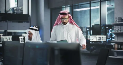 Middle Eastern Team of Software Developers Working in Office Stock Footage 243566368