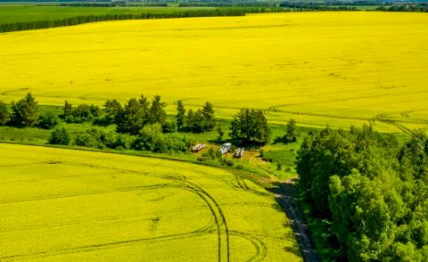 In the middle of fields of flowering rape stands an apiary with bee hives. Stock Photos