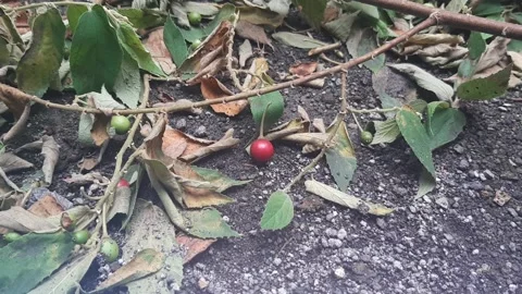 In the Middle 스톡 동영상 237524129