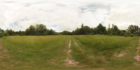 Middle of a forest clearing - 360 VR Stock Footage