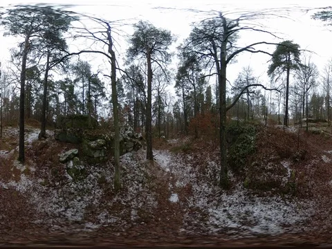 Middle of Forest a Rainy Winter Day - 360 VR Stock Footage 83584881