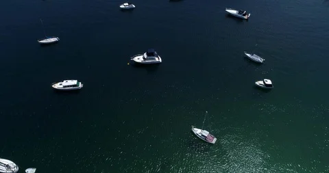 Middle harbour boats 動画素材 99269352