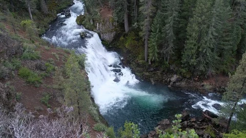 Middle McCloud Falls, Shasta Trinity National Forest, California Stock Footage 108883455
