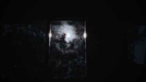 Middle of the night with moon shiny Stock-Footage 252895480