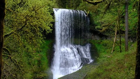 Middle North Falls, Silver Falls State Park, Oregon Stock Footage 89783361