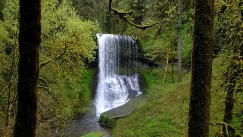 Middle North Falls, Silver Falls State Park, Oregon Stock Footage 89783362