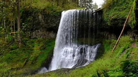 Middle North Falls, Silver Falls State Park, Oregon Stock Footage 89783363