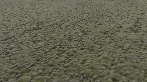 Middle of nowhere in Iceland Stock Footage 221889376