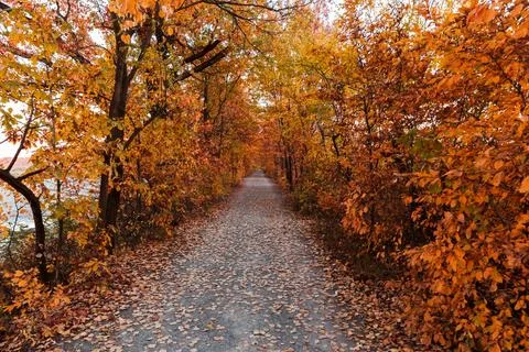 In the middle of the park Foto stock