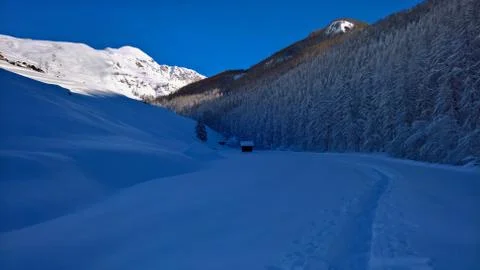 In the middle Stock Photos