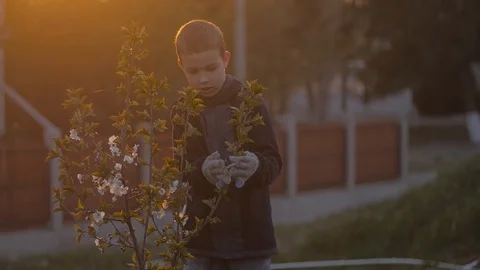 Middle plan a boy takes care of a tree Vídeos de archivo 128441499