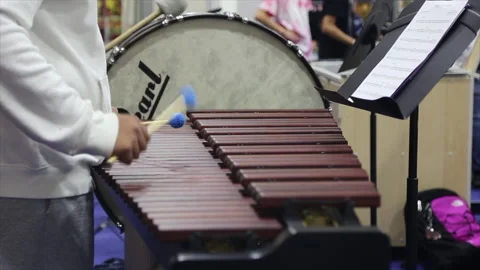 Middle School Student Playing Xylophone in Music Class – Alexandria, VA Stock Footage 234297147