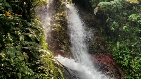 Middle shot of a waterfall cliff on bogor indonesia, pan camera movement Video stock 259180146