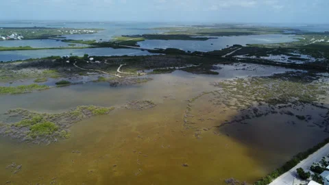Middle Torch Key Fl Mangrove area drone shot Summer 2026 Stock Footage 344008412