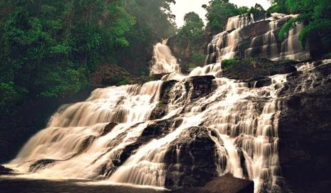 In the middle of a virgin forest, a waterfall appears. Stock Photos