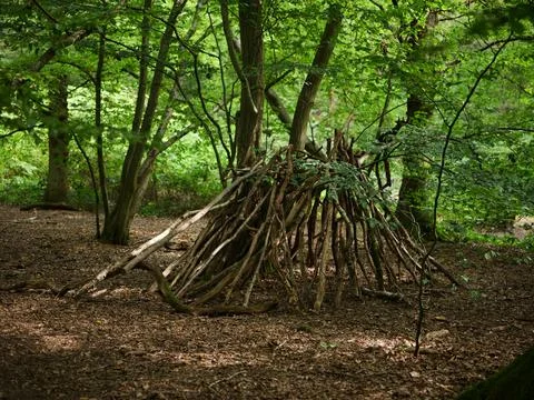 In the middle of the woods, forest Stock Photos