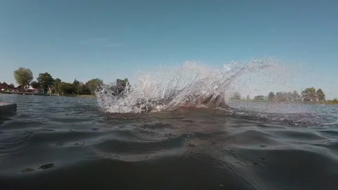 Middle years man funny jumping into water. Bald male diving into blue lake Stock Footage 303497526
