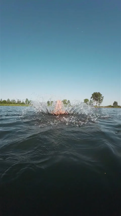 Middle years man jumping in lake with blue water celebrating summer vacation Stock Footage 305997604