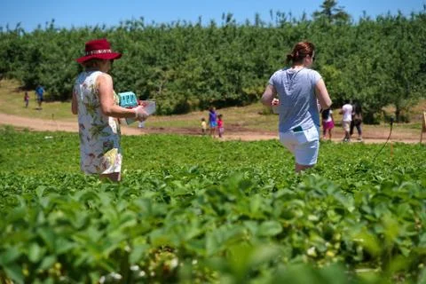 Middlefield, CT USA. Jun 2019. People from all walks of life and cultures rea Stock Photos