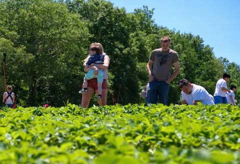 Middlefield, CT USA. Jun 2019. People from all walks of life and cultures rea Stock Photos