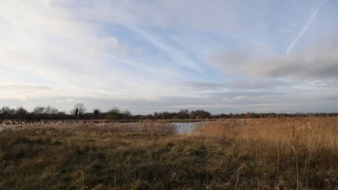 Middleton Lake 库存影片 105922798