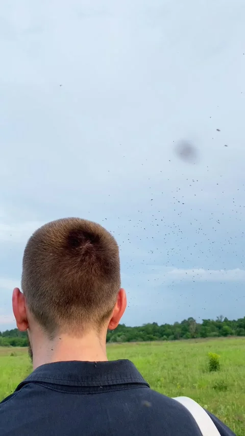 Midge hatching season. The insects fly through the air near a man's head Stock Footage 342278083
