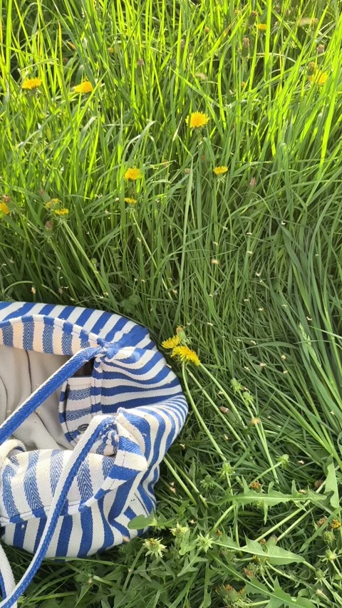 Midge insects of tall grass and a summer beach bag 库存影片 335878147
