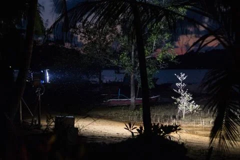 Midges in the light of a lantern in the dark Stock Photos