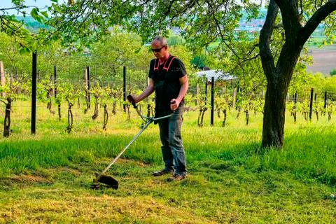 Midle aged man using a brush cutter. Mature man in the garden. Gardening concept 写真素材