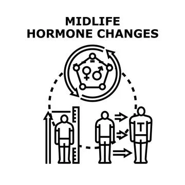 Midlife hormone changes affecting human body development Stock Illustration